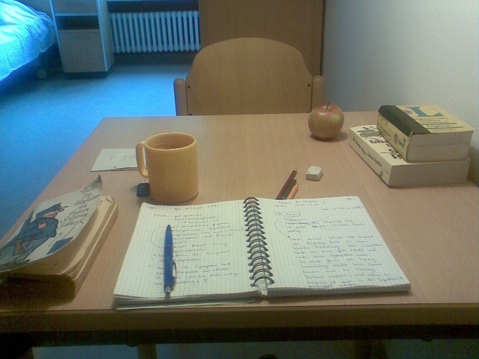 Psychiatrie zwischen Management und Heilung – ein Selbstversuch