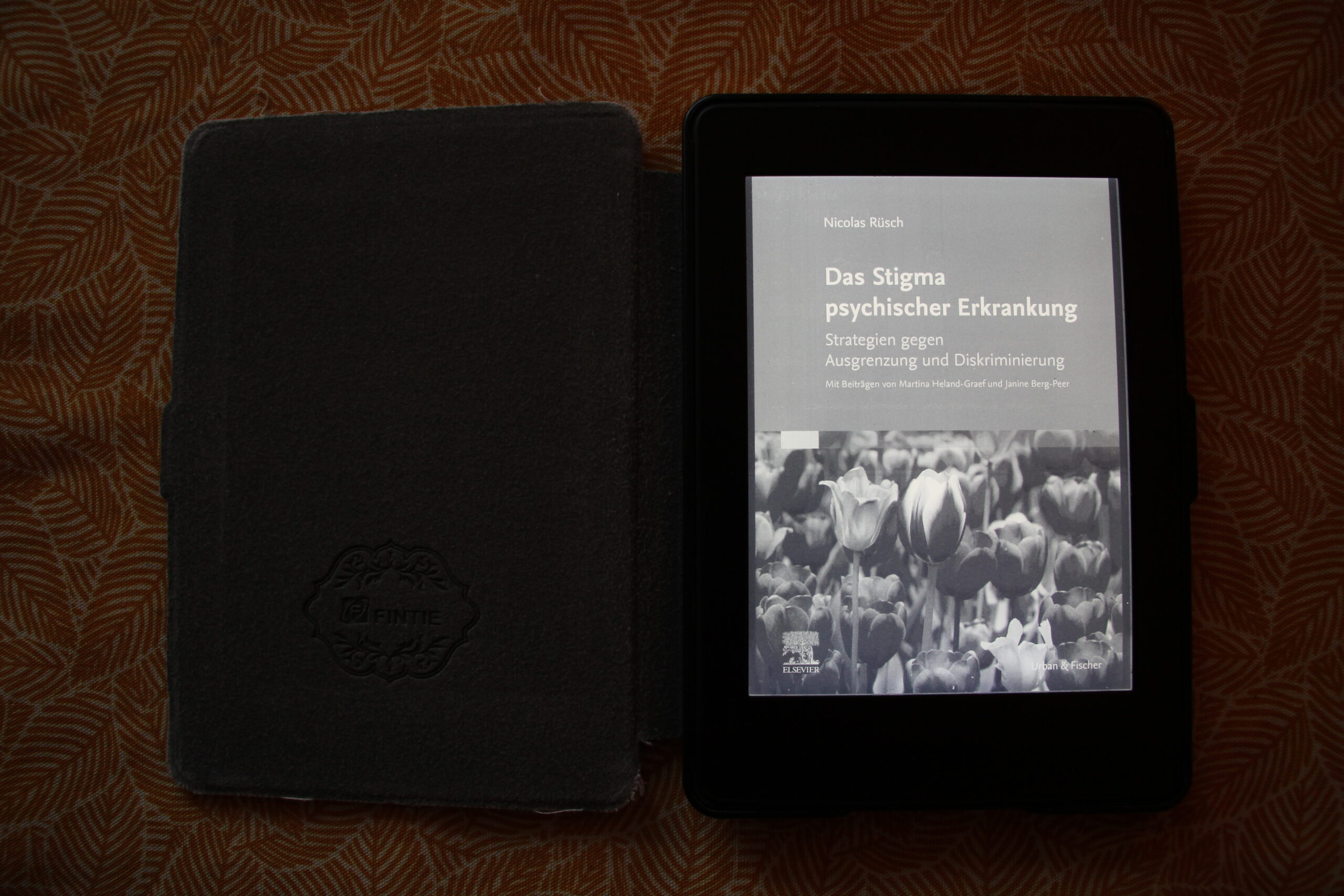 Gedächtnisprotokoll des Telefonats mit Prof. Nicolas Rüsch am 17.12.2020